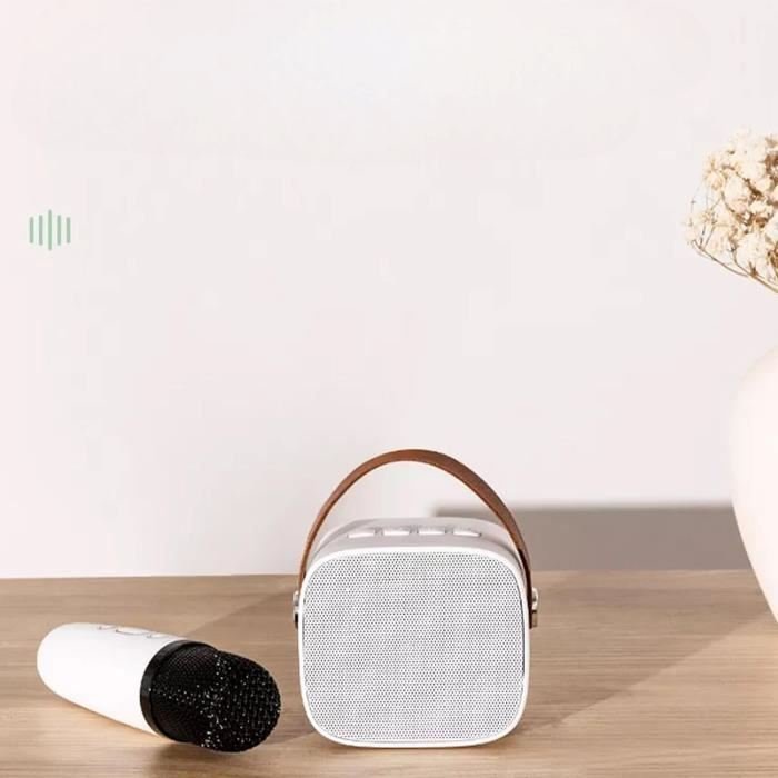 Microphone Sans Fil - KaraFun™ - Blanc