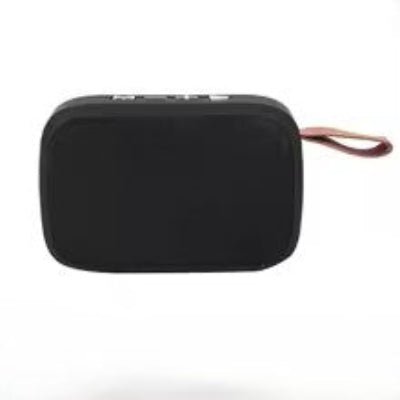 Enceinte noire portatif